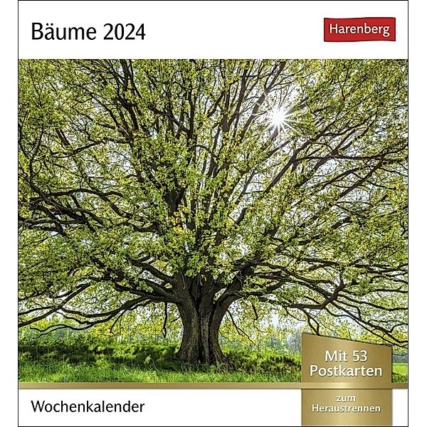 Bäume Postkartenkalender 2024. Fotokalender mit 53 Postkarten zum Sammeln und Verschicken. Dekorative Baum-Aufnahmen von bekannten Fotografen. Wochen-Tischkalender 2024