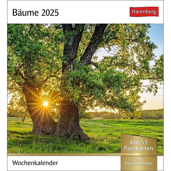 Bäume Postkartenkalender 2025 - Wochenkalender mit 53 Postkarten