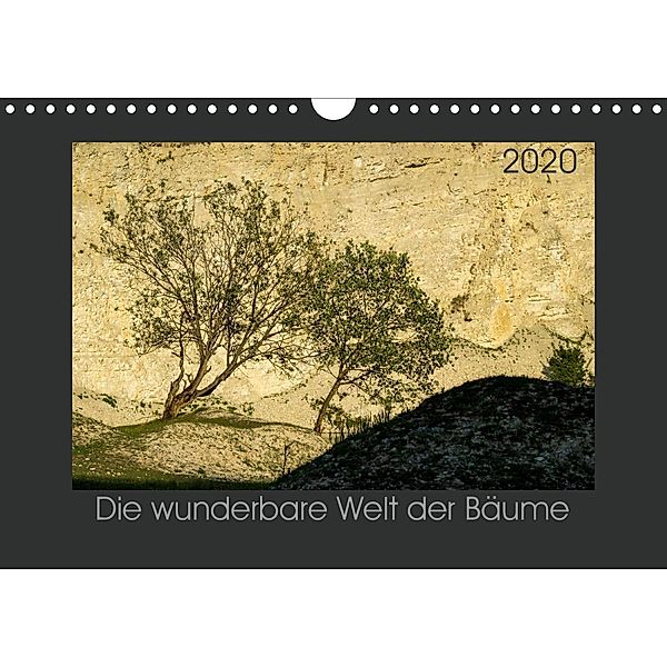 Bäume quer (Wandkalender 2020 DIN A4 quer), Michael Bücker