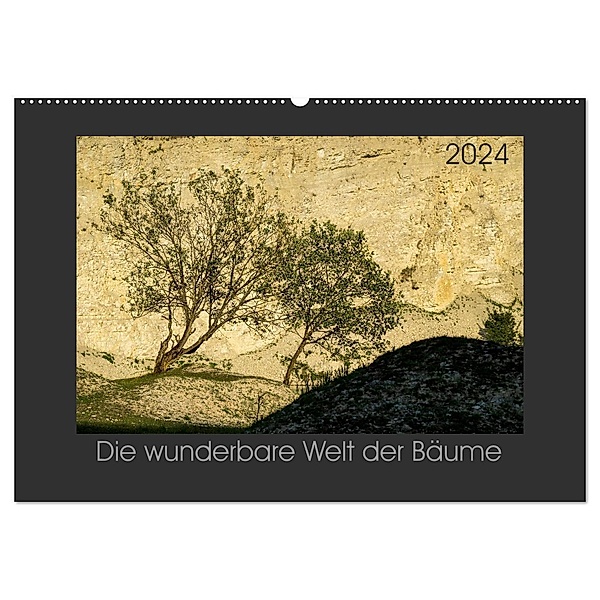 Bäume quer (Wandkalender 2024 DIN A2 quer), CALVENDO Monatskalender, Michael Bücker