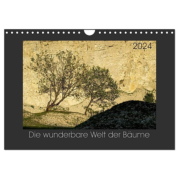 Bäume quer (Wandkalender 2024 DIN A4 quer), CALVENDO Monatskalender, Michael Bücker