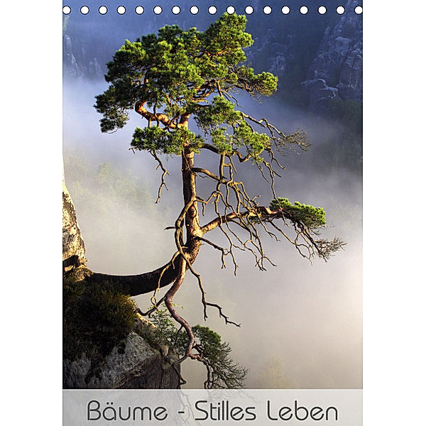 Bäume - Stilles Leben (Tischkalender 2019 DIN A5 hoch), Jana Behr