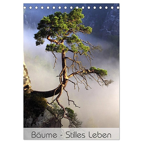 Bäume - Stilles Leben (Tischkalender 2024 DIN A5 hoch), CALVENDO Monatskalender, Jana Behr