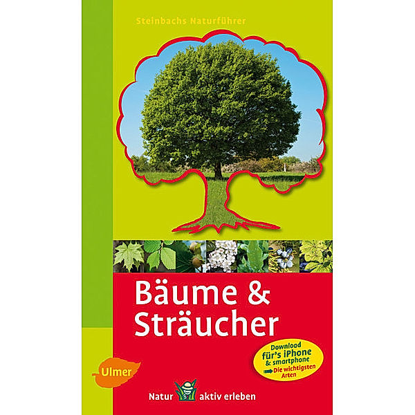 Bäume & Sträucher, Bruno P. Kremer