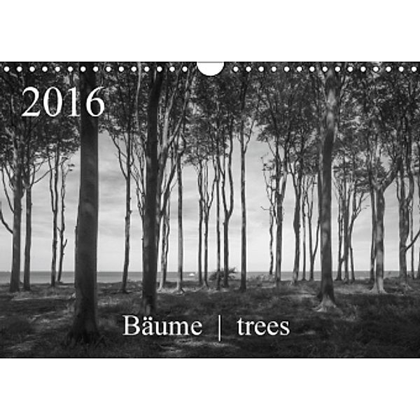 Bäume trees 2016 (Wandkalender 2016 DIN A4 quer), Michael Zieschang