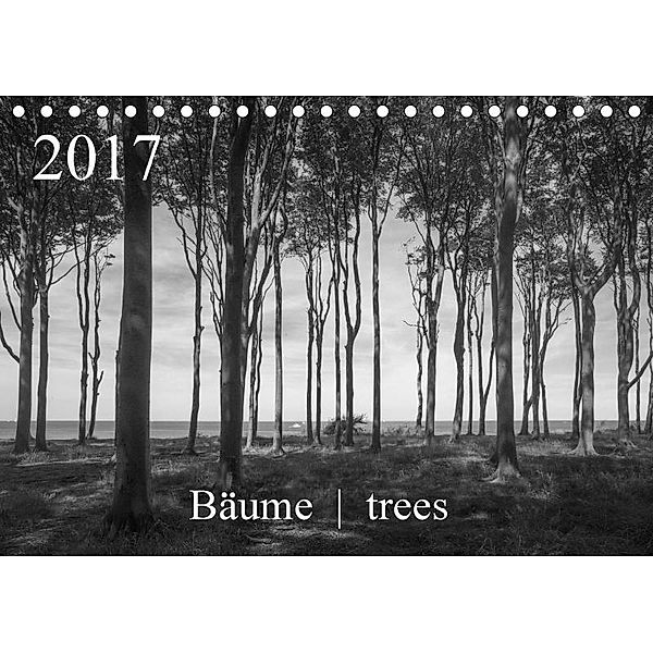 Bäume trees 2017 (Tischkalender 2017 DIN A5 quer), Michael Zieschang