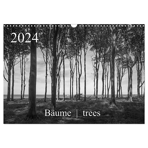 Bäume trees 2024 (Wandkalender 2024 DIN A3 quer), CALVENDO Monatskalender, Michael Zieschang