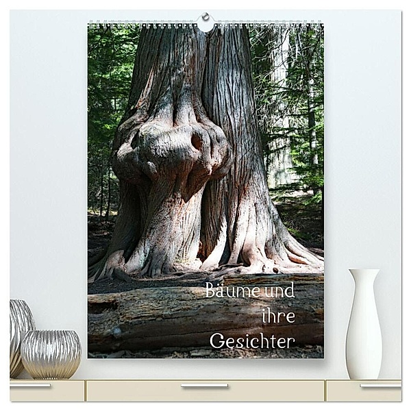 Bäume und ihre Gesichter (hochwertiger Premium Wandkalender 2024 DIN A2 hoch), Kunstdruck in Hochglanz, Andreas Struve