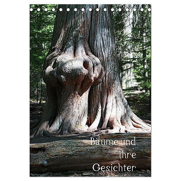 Bäume und ihre Gesichter (Tischkalender 2024 DIN A5 hoch), CALVENDO Monatskalender, Andreas Struve