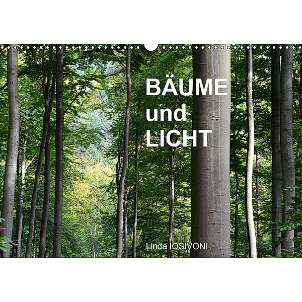 BÄUME und LICHT (Wandkalender 2019 DIN A3 quer), Linda IOSIVONI