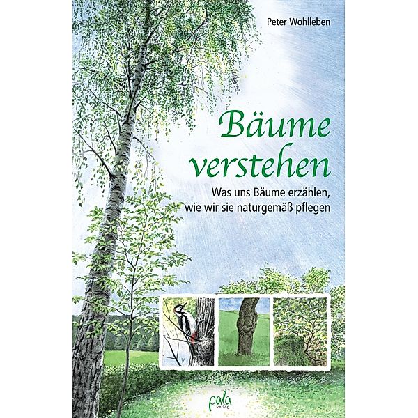 Bäume verstehen, Peter Wohlleben