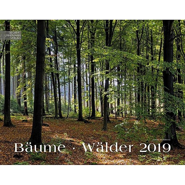 Bäume - Wälder 2019, Martin Schubotz
