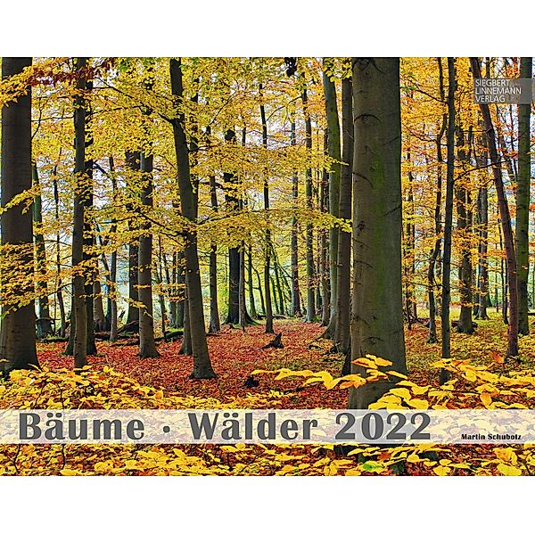 Bäume-Wälder 2022