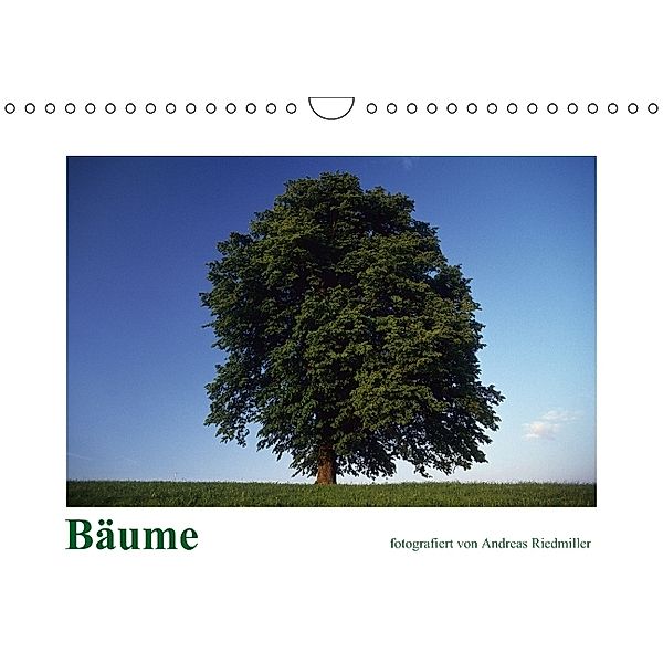 Bäume (Wandkalender 2014 DIN A4 quer), Andreas Riedmiller