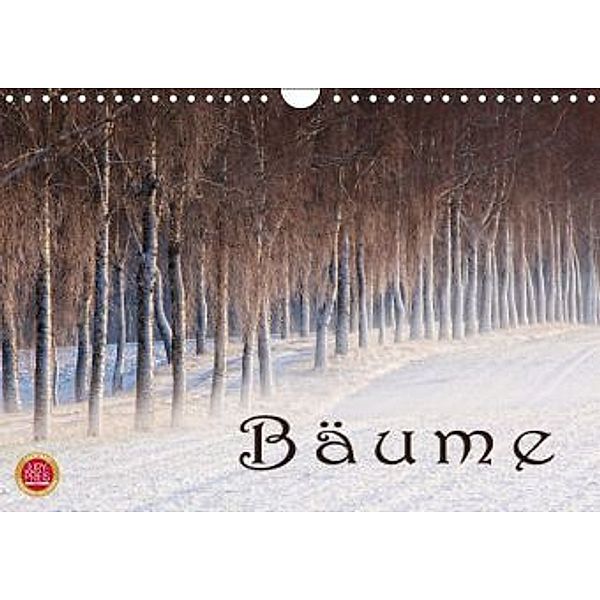 Bäume (Wandkalender 2016 DIN A4 quer), Martina Cross