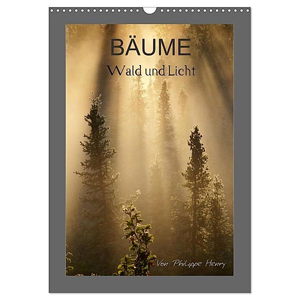 BÄUME (Wandkalender 2024 DIN A3 hoch), CALVENDO Monatskalender, Philippe Henry