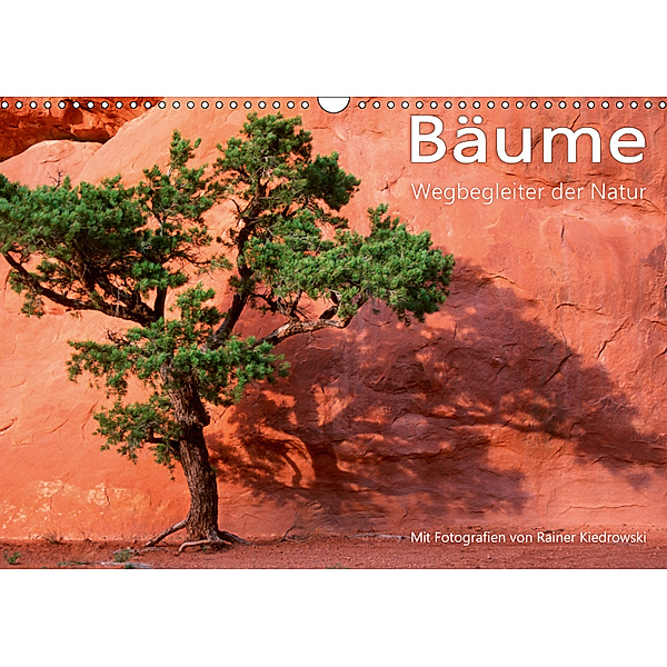 Bäume - Wegbegleiter der Natur (Wandkalender 2019 DIN A3 quer), Rainer Kiedrowski