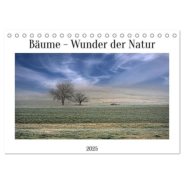 Bäume - Wunder der Natur (Tischkalender 2025 DIN A5 quer), CALVENDO Monatskalender, Calvendo, Dieter W. Hack