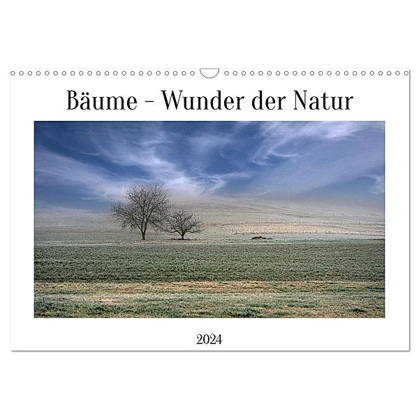 Bäume - Wunder der Natur (Wandkalender 2024 DIN A3 quer), CALVENDO Monatskalender, Calvendo, Dieter W. Hack