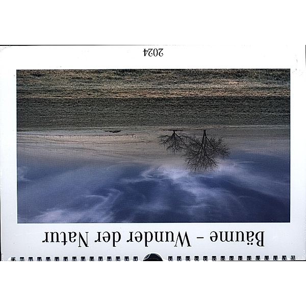 Bäume - Wunder der Natur (Wandkalender 2024 DIN A4 quer), CALVENDO Monatskalender, Calvendo, Dieter W. Hack