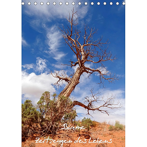 Bäume - Zeitzeugen des Lebens (Tischkalender 2019 DIN A5 hoch), Martina Roth