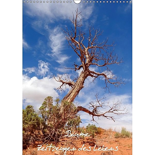Bäume - Zeitzeugen des Lebens (Wandkalender 2018 DIN A3 hoch), Martina Roth