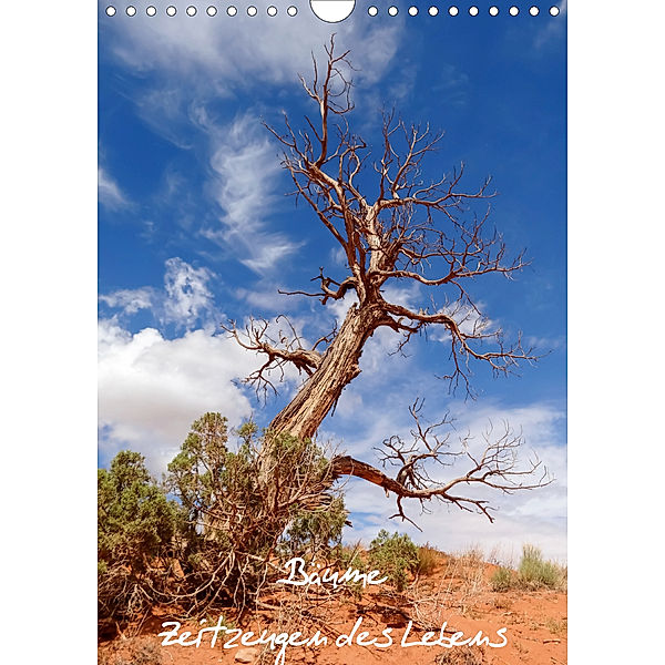 Bäume - Zeitzeugen des Lebens (Wandkalender 2020 DIN A4 hoch), Martina Roth
