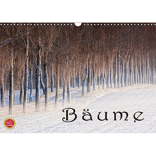 BäumeCH-Version (Wandkalender 2019 DIN A3 quer), Martina Cross
