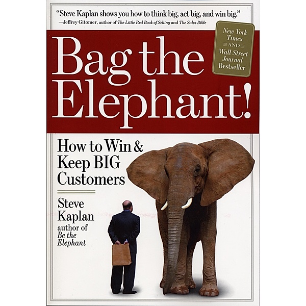 Bag the Elephant, Steve Kaplan