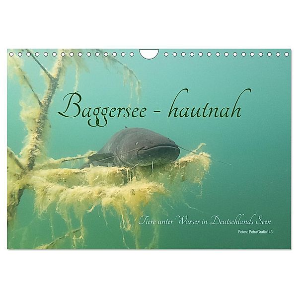 Baggersee -hautah (Wandkalender 2024 DIN A4 quer), CALVENDO Monatskalender, Petra Geistler