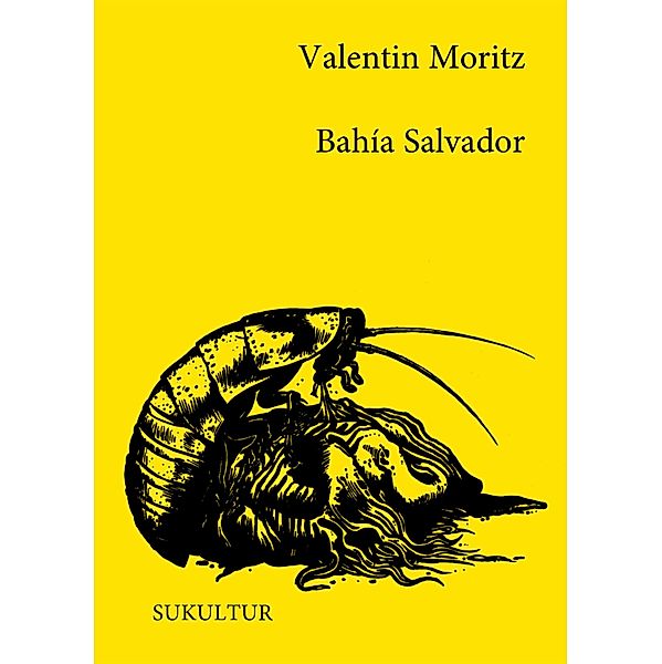 Bahía Salvador / Schöner Lesen Bd.171, Valentin Moritz