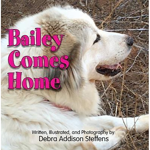 Bailey Comes Home, Debra Steffens
