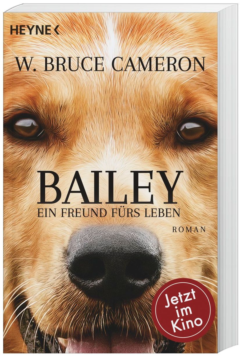 Bailey - Ein Freund fürs Leben Buch versandkostenfrei bei Weltbild.de