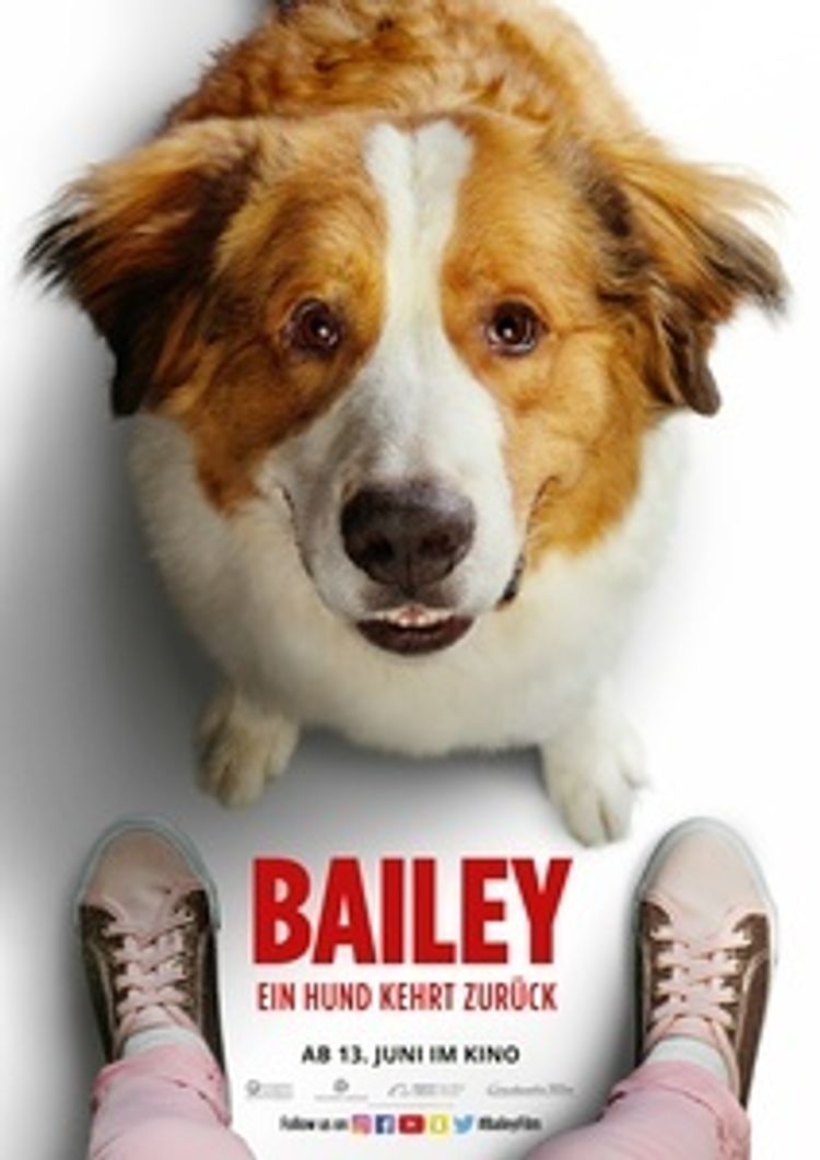 Bailey - Ein Hund kehrt zurück DVD bei Weltbild.ch bestellen