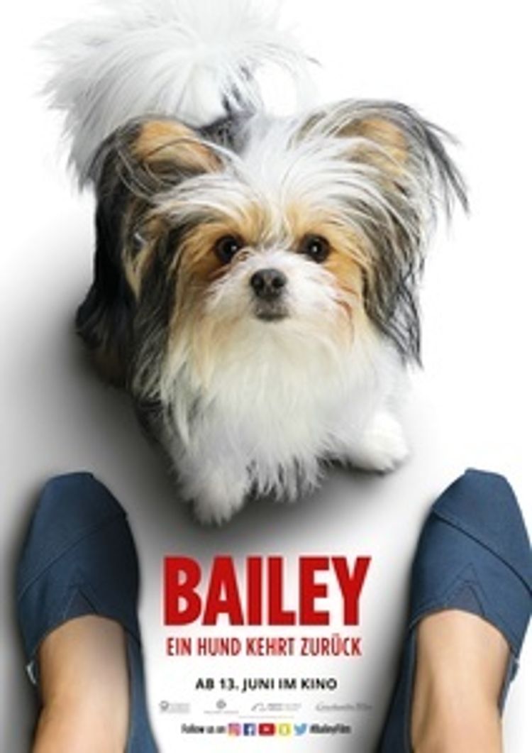 Bailey - Ein Hund kehrt zurück DVD bei Weltbild.de bestellen