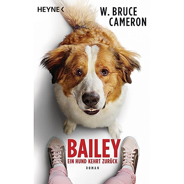 Bailey - Ein Hund kehrt zurück / Heyne-Bücher Allgemeine Reihe Bd.41024, W. Bruce Cameron