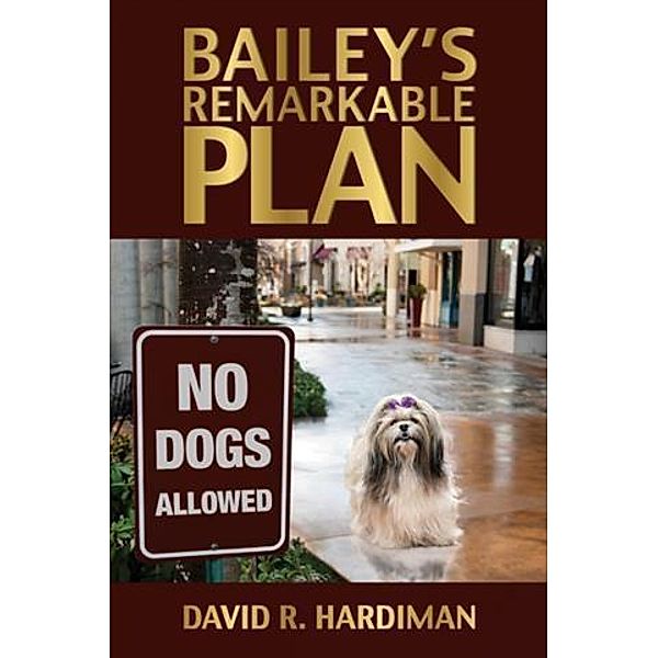 Bailey's Remarkable Plan, David R. Hardiman