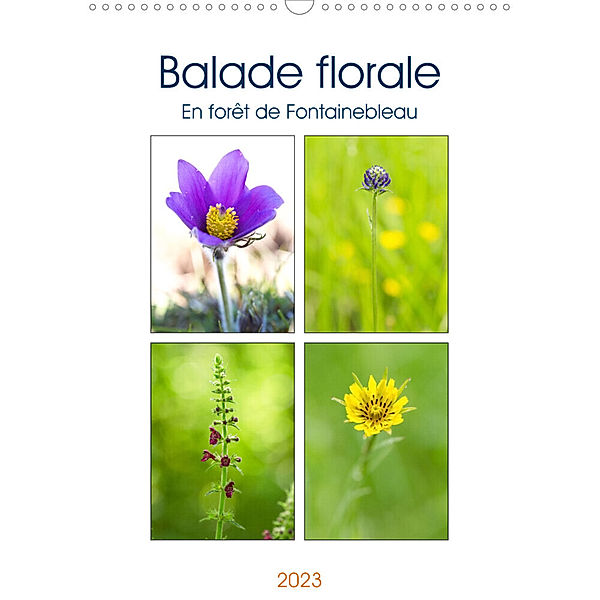 Balade florale en forêt de Fontainebleau (Calendrier mural 2023 DIN A3 vertical), Djamal Makhloufi