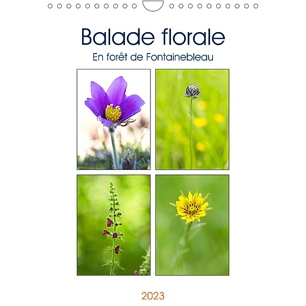 Balade florale en forêt de Fontainebleau (Calendrier mural 2023 DIN A4 vertical), Djamal Makhloufi