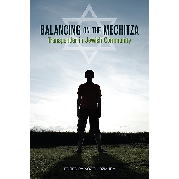 Balancing on the Mechitza / Io Series Bd.66