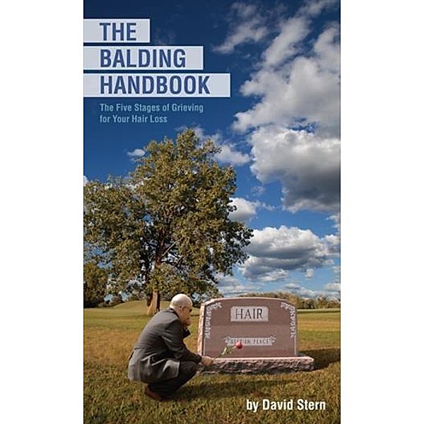 Balding Handbook, David Stern