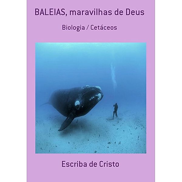 BALEIAS - MARAVILHAS DE DEUS, Escriba de Cristo