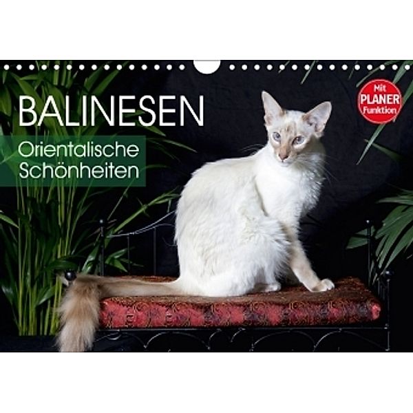 Balinesen - Orientalische Schönheiten (Wandkalender 2017 DIN A4 quer), Verena Scholze