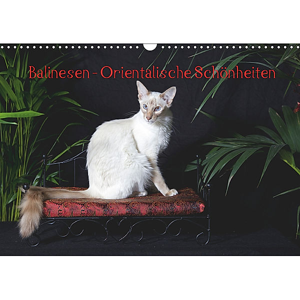 Balinesen - Orientalische Schönheiten (Wandkalender 2019 DIN A3 quer), Verena Scholze