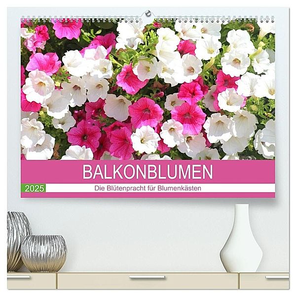 Balkonblumen. Die Blütenpracht für Blumenkästen (hochwertiger Premium Wandkalender 2025 DIN A2 quer), Kunstdruck in Hochglanz, Calvendo, Rose Hurley