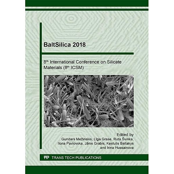 BaltSilica 2018