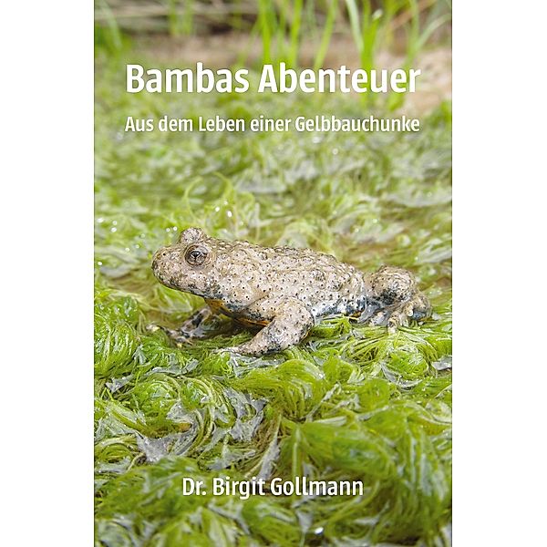 Bambas Abenteuer, Birigt Gollmann