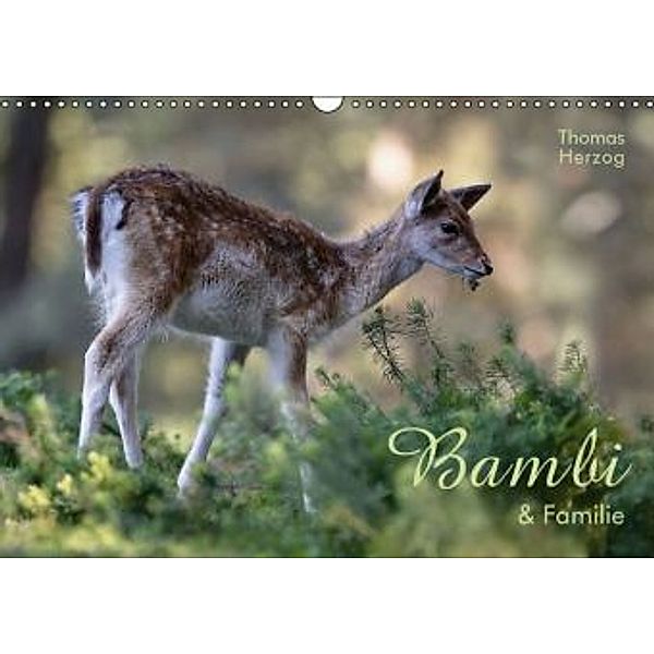 BAMBI & Familie (Wandkalender 2016 DIN A3 quer), Thomas Herzog