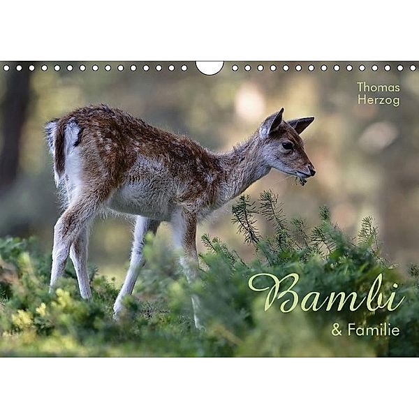 BAMBI & Familie (Wandkalender 2017 DIN A4 quer), Thomas Herzog