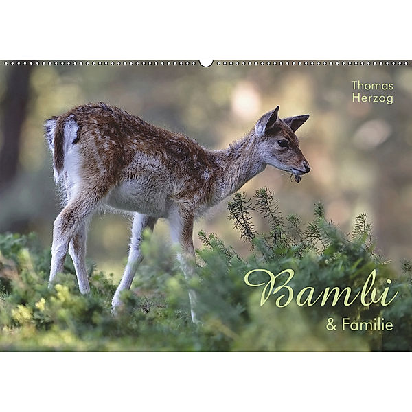 BAMBI & Familie (Wandkalender 2019 DIN A2 quer), Thomas Herzog